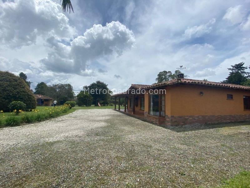 Local Comercial en Arriendo, Vereda Llano Grande, Rionegro - Vista 5