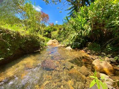 Casa de 5 alcobas en venta en El Tablazo, Rionegro · foto 12 de 20