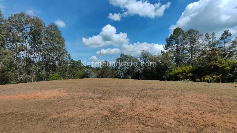 Lote en Venta, Tablazo Parte Baja, Rionegro - Vista 2