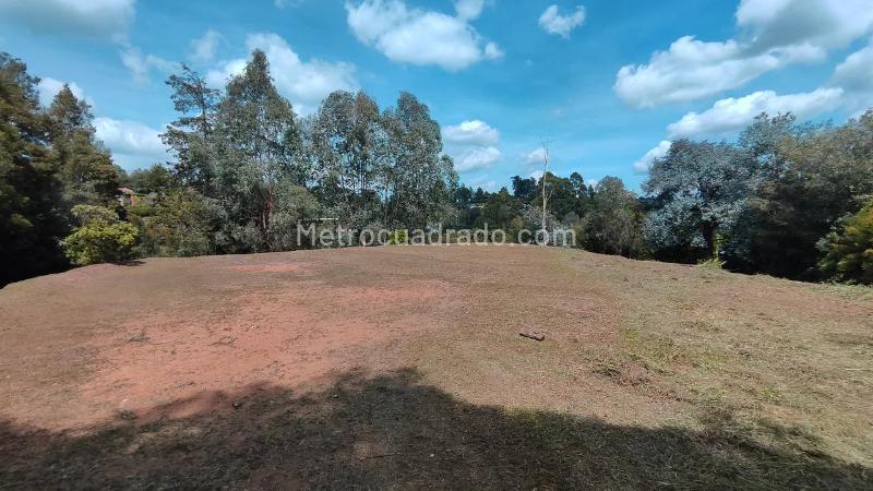 Lote en Venta, Tablazo Parte Baja, Rionegro - Vista 3