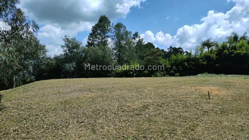 Lote en Venta, Tablazo Parte Baja, Rionegro - Más