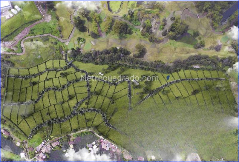 Lote en Venta, Llanogrande, Rionegro - Vista 5