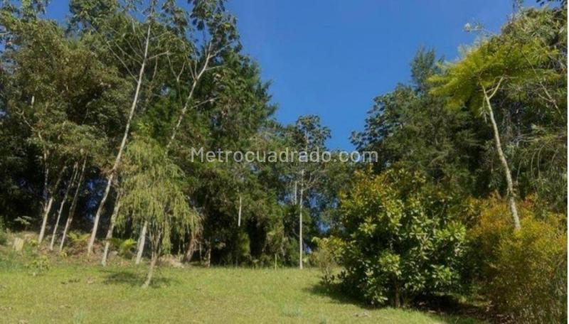 Lote en Venta, Llano Grande, Rionegro - Vista 2