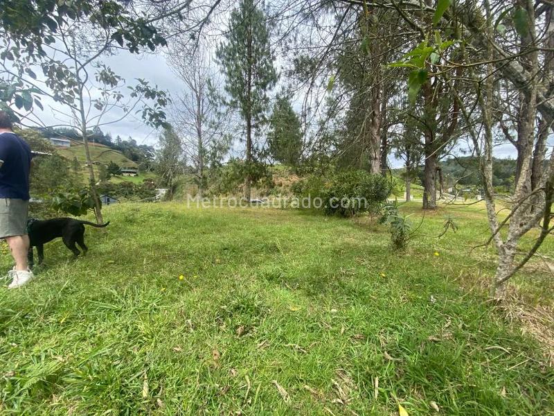 Lote en Venta, El Escobero, Envigado - Vista 3