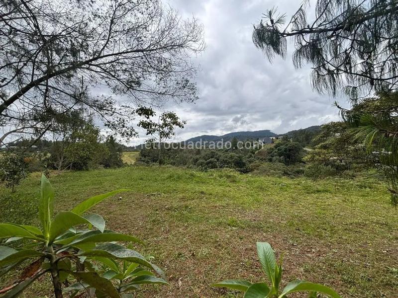 Lote en Venta, El Escobero, Envigado - Vista 4