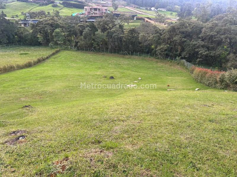 Lote en Venta, Alto De Palmas Envigado, Envigado - Vista 5