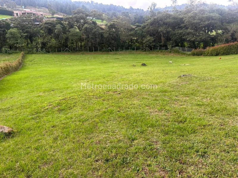 Lote en Venta, Alto De Palmas Envigado, Envigado - Más