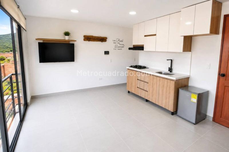 1BR Apartment in Centro (50 m²)