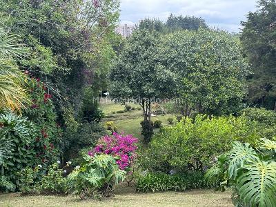 Casa de 4 alcobas en venta en Gualanday, Rionegro, 270 m² · foto 20 de 20