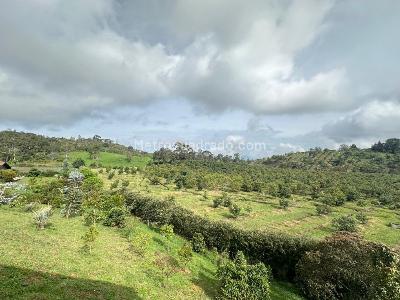 Casa de 4 alcobas en venta en Llano Grande, Rionegro · foto 5 de 19