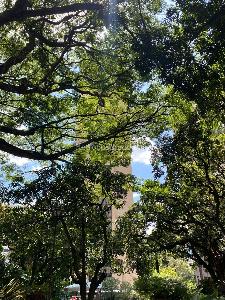 Apartamento en venta en El Poblado, Medellín · foto 3 de 19