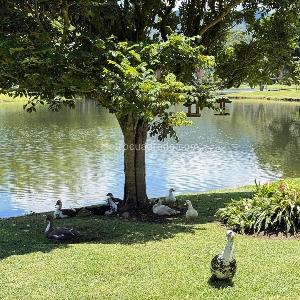 Casa de 4 alcobas en arriendo en Lago Grande, Rionegro, 347 m² · foto 4 de 20