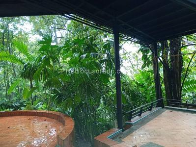 Apartamento de 1 alcoba en arriendo en Poblado Altos Del Poblado, Medellín, 90 m² · foto 13 de 20