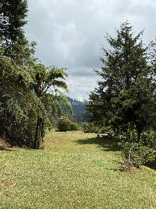 Casa lote en Arriendo, Tablazo Parte Alta, Rionegro