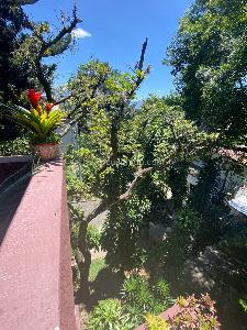 Apartamento en venta en El Poblado, Medellín · foto 14 de 19