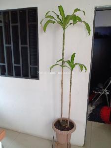 Apartamento en venta en Belen Las Mercedes, Medellín, 150 m² · foto 13 de 13