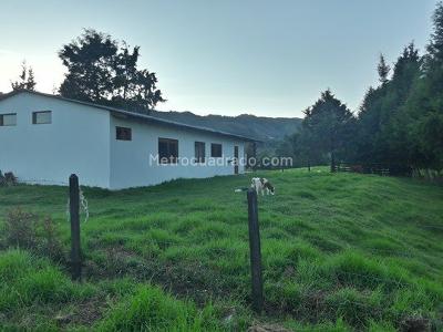 Country house for rent in Sector Aeropuerto, Rionegro