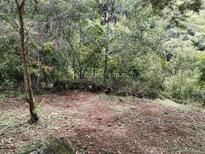 Casa de 5 alcobas en venta en La Buitrera, Cali · foto 14 de 20