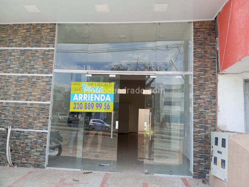 Local Comercial en Arriendo, San Fernando, Pereira - Ansicht 3
