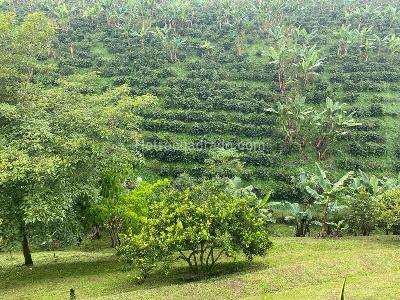 Casa en venta en Combia, Pereira · foto 5 de 20