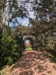 Casa de 3 alcobas en venta en Av Chilacos, Chía, 220 m² · foto 6 de 20