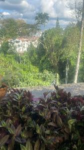 Apartamento en venta en Alamos, Pereira · foto 11 de 17