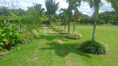 Casa de 4 alcobas en arriendo en Nuevo Sol, Pereira, 120 m² · foto 4 de 16