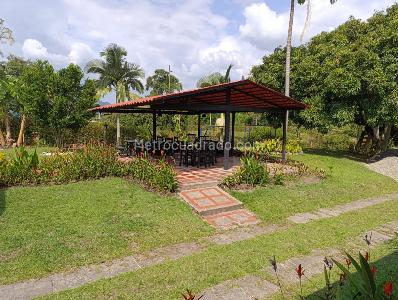 Casa de 4 alcobas en arriendo en Nuevo Sol, Pereira, 120 m² · foto 13 de 16