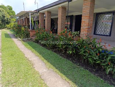 Casa de 4 alcobas en arriendo en Nuevo Sol, Pereira, 120 m² · foto 14 de 16