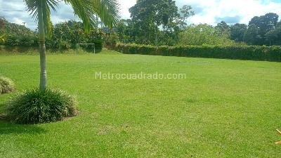 Casa de 4 alcobas en arriendo en Nuevo Sol, Pereira, 120 m² · foto 15 de 16