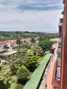 Apartamento en venta en Paseo De La Castellana, Pereira · foto 3 de 15