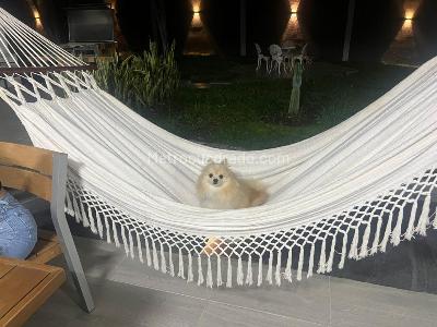 Casa en venta en Malabar, Pereira · foto 14 de 16