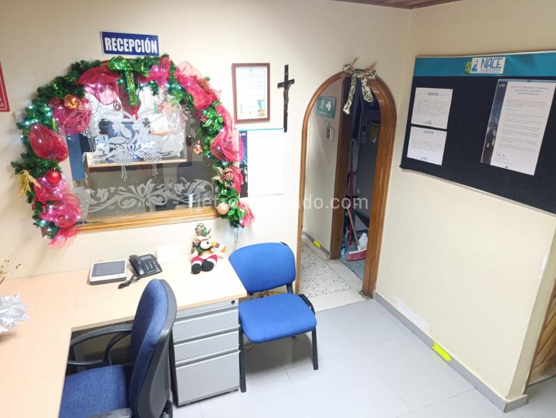 Oficina en Arriendo, El Prado, Barranquilla - Vista 4
