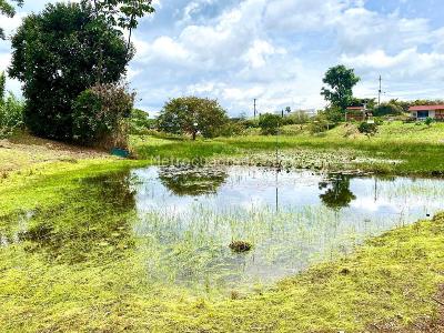 Casa en venta en Condina, Pereira · foto 8 de 20
