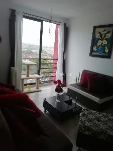 Apartamento en venta en Villa Olimpica, Pereira · foto 14 de 15