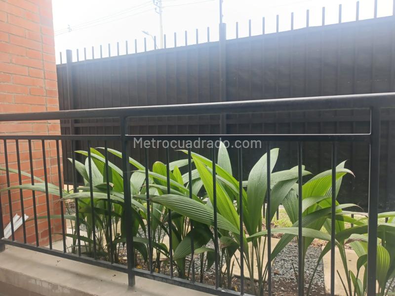 Apartamento en Arriendo, Parque Natura, Jamundi – pohled 6
