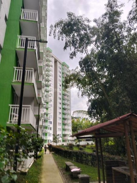 Piso – Dosquebradas, Las Violetas - Vista 3