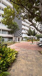 Apartaestudio en arriendo en Gaira (Sector), Santa Marta, 35 m² · foto 16 de 17