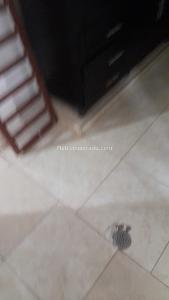 Casa de 5 alcobas en venta en Villa Colombia, Cali, 380 m² · foto 11 de 18