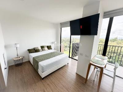 Apartaestudio en arriendo en Galicia, Pereira, 40 m² · foto 6 de 7