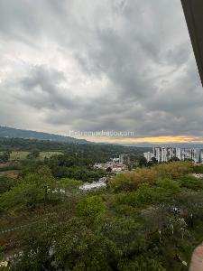 Apartamento de 3 alcobas en arriendo en Versalles, Floridablanca, 90 m² · foto 11 de 18
