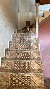 Casa de 5 alcobas en venta en San Antonio, Girardot, 111 m² · foto 9 de 19