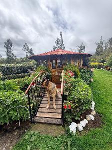 Casa de 4 alcobas en venta en La Laguna, Pasto, 760 m² · foto 9 de 10