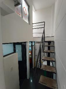 Casa de 5 alcobas en venta en Quinta Camacho, Bogotá, 440 m² · foto 12 de 20