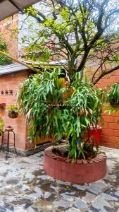 Casa de 5 alcobas en venta en Santa Monica 1, Medellín, 250 m² · foto 5 de 11