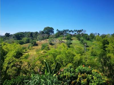 Casa en arriendo en San Bernardo Del Viento, Manizales · foto 8 de 20