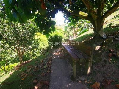 Casa en arriendo en San Bernardo Del Viento, Manizales · foto 11 de 20