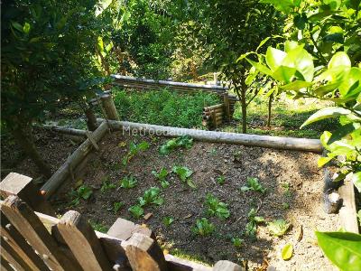 Casa en arriendo en San Bernardo Del Viento, Manizales · foto 18 de 20