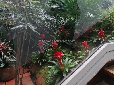 Casa en venta en Camelia, Manizales · foto 9 de 19