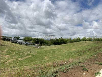 Lote en Venta, Cerritos, Pereira